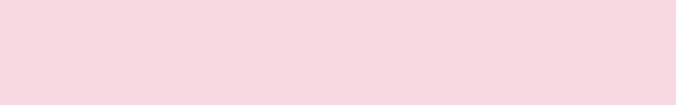 Partydeko Rosa