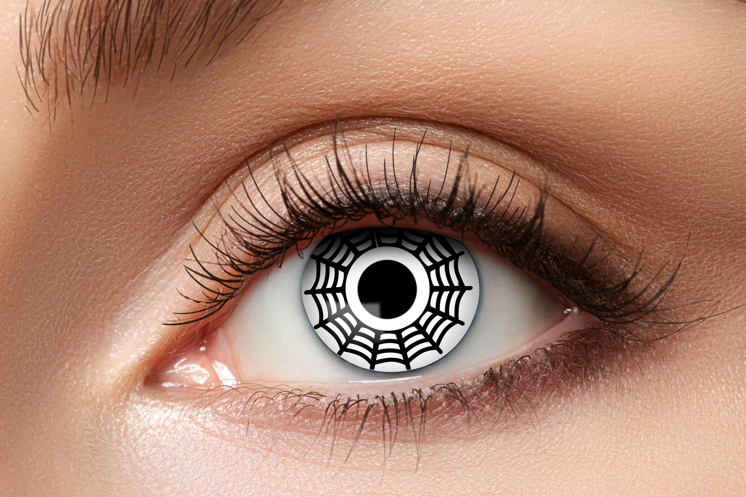 Zoelibat Eyecatcher 12 Monats-Kontaktlinsen Spider 2