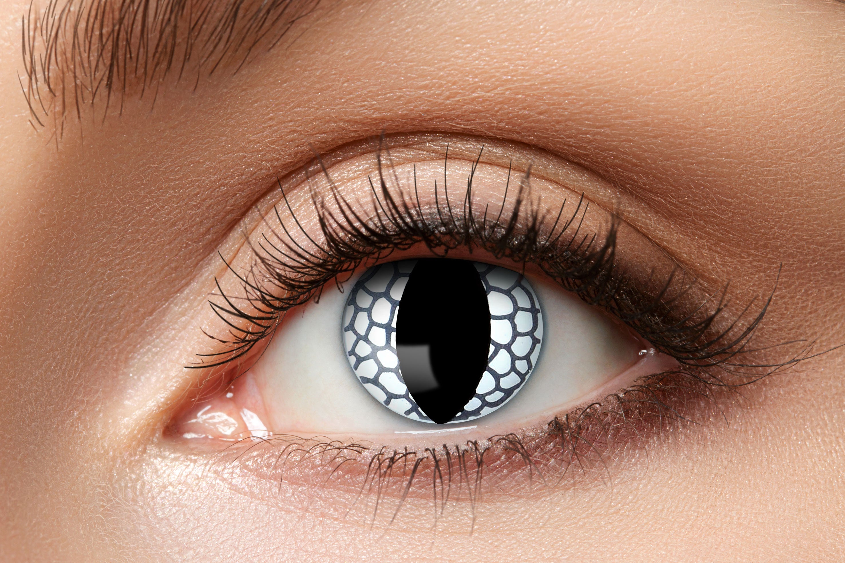 Zoelibat Eyecatcher 12 Monats-Kontaktlinsen White Dragon 2