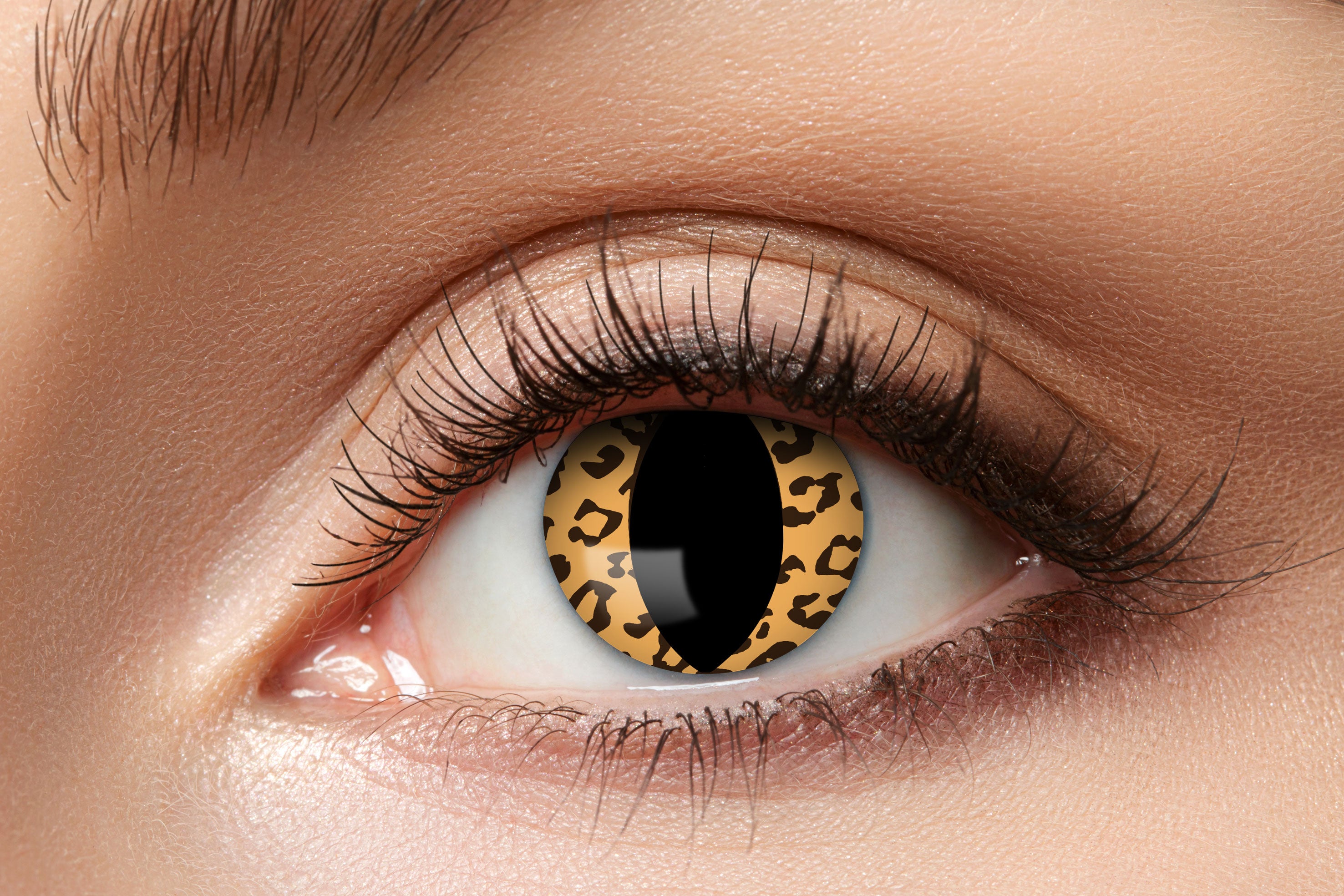 Zoelibat Eyecatcher 12 Monats-Kontaktlinsen Leo Cat 2
