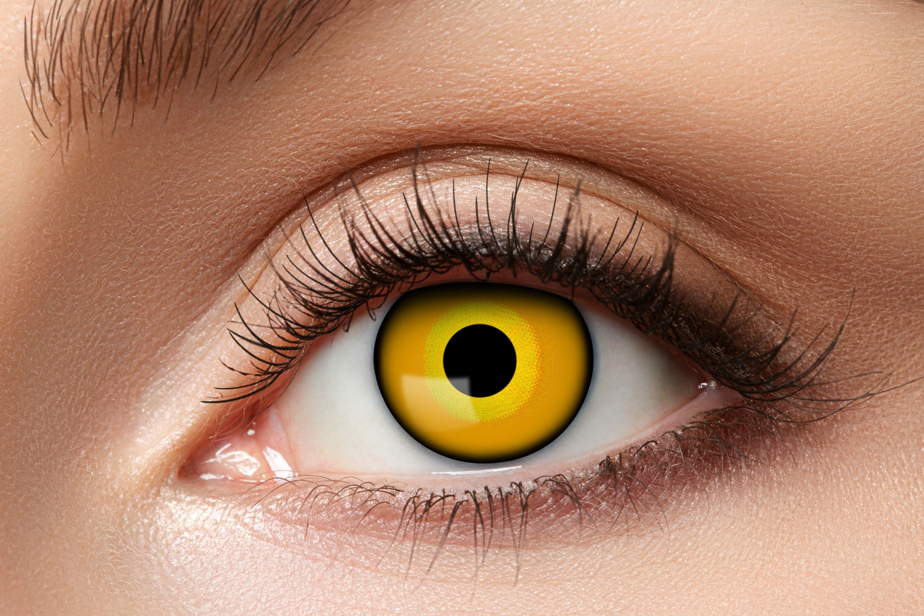 Zoelibat Eyecatcher 12 Monats-Kontaktlinsen ES 2