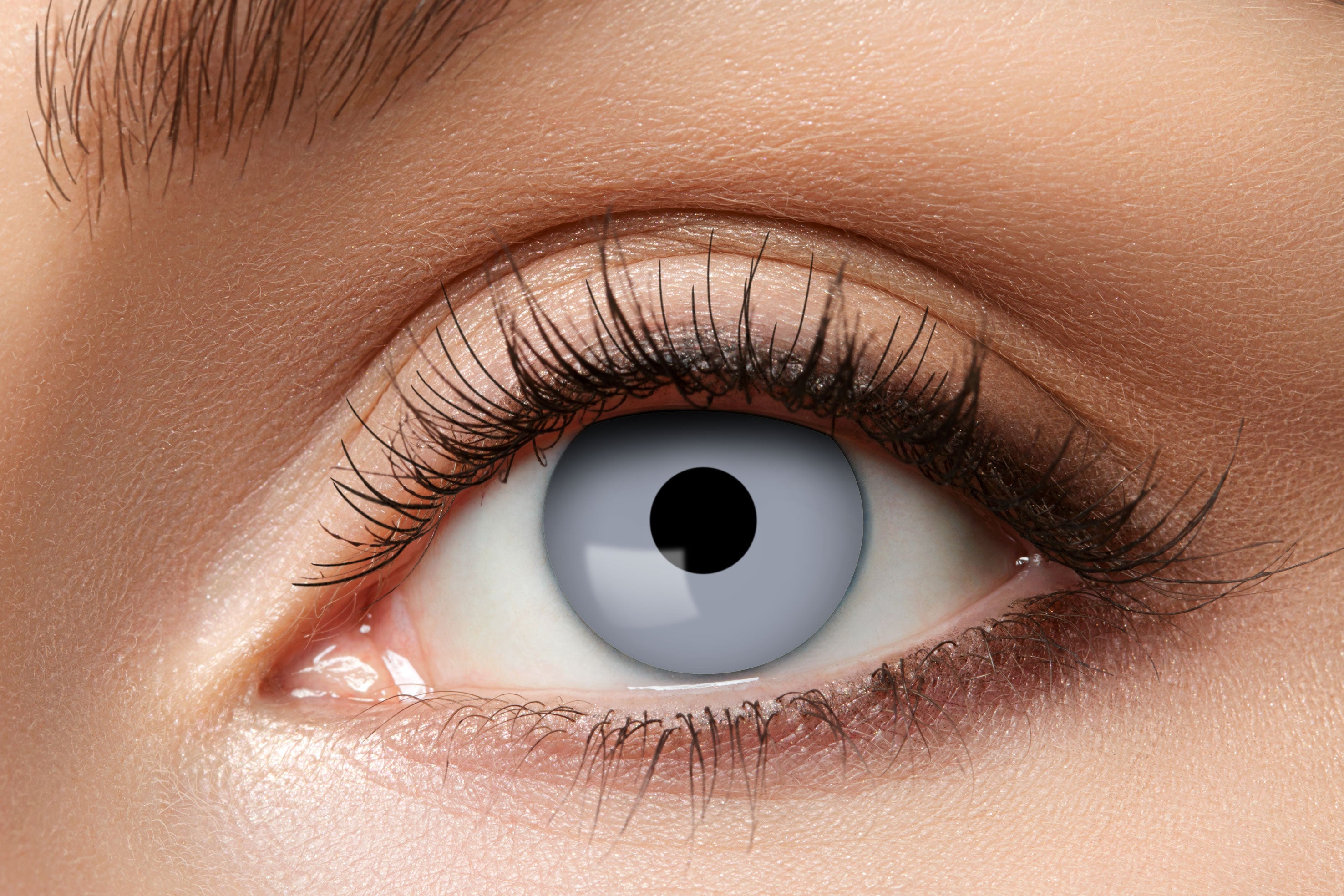 Zoelibat Eyecatcher 3 Monats-Kontaktlinsen Vampire Grey 2