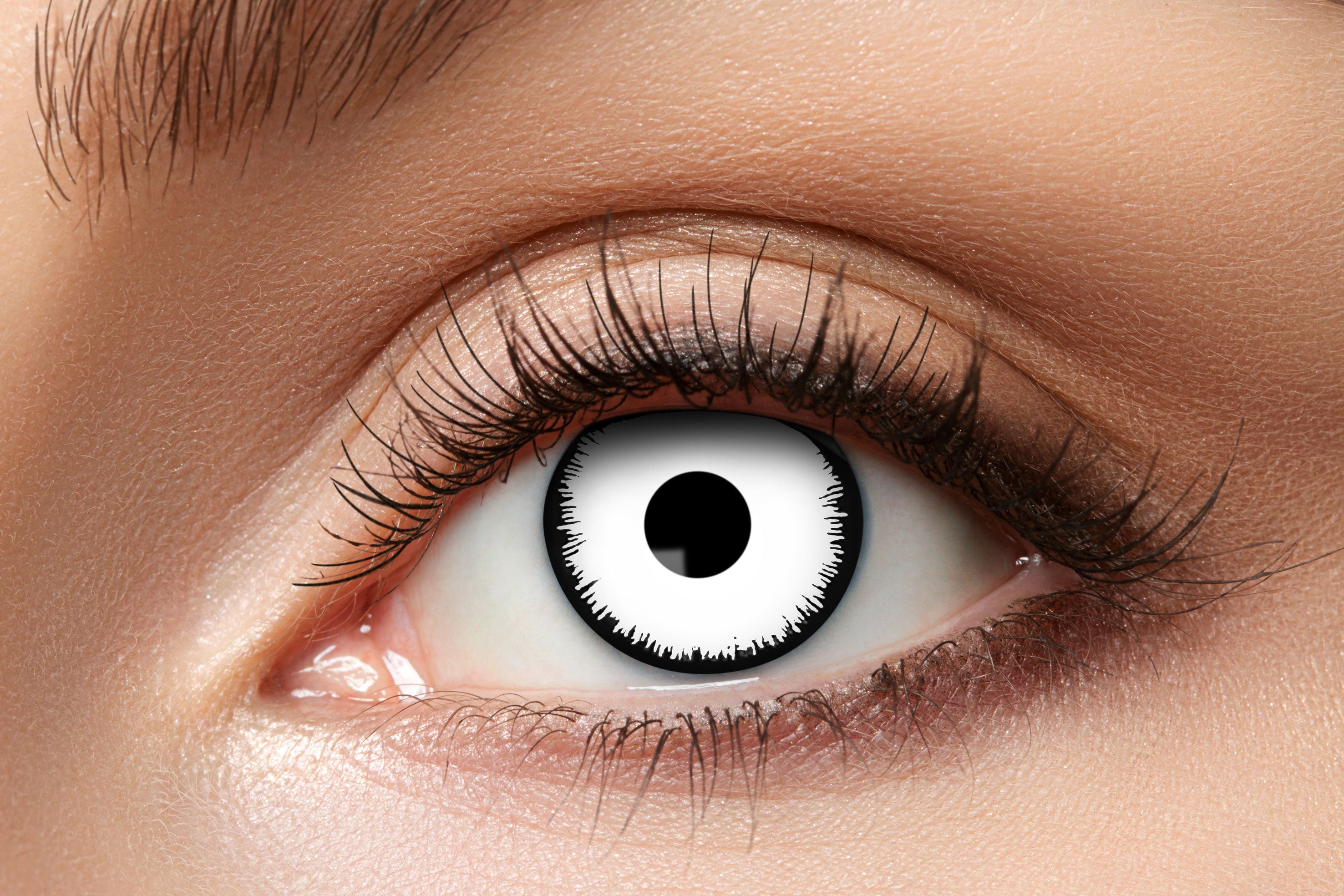 Zoelibat Eyecatcher 3 Monats-Kontaktlinsen Angelic White 2