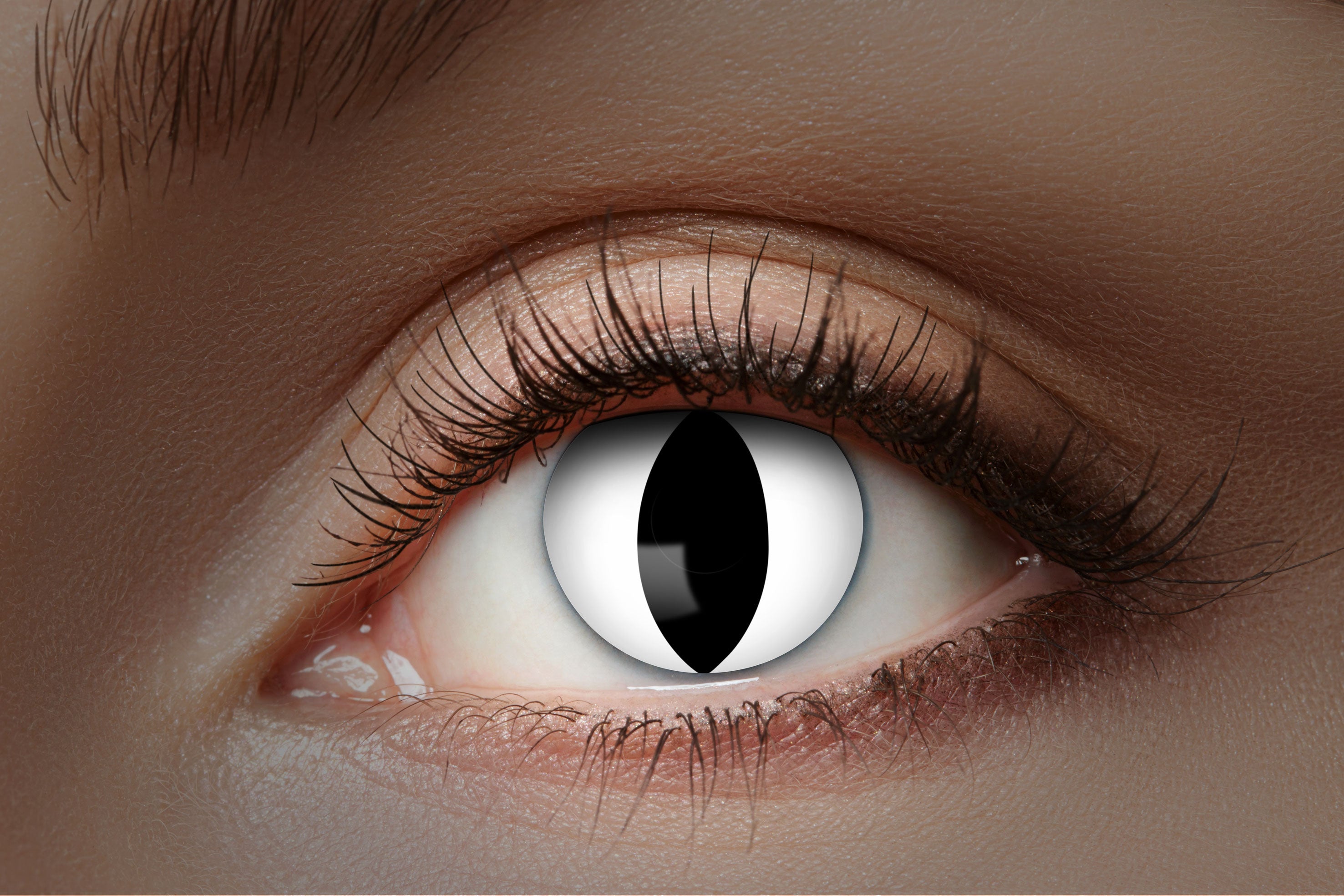 Zoelibat Eyecatcher 12 Monats-Kontaktlinsen UV Flash Black Cat 2