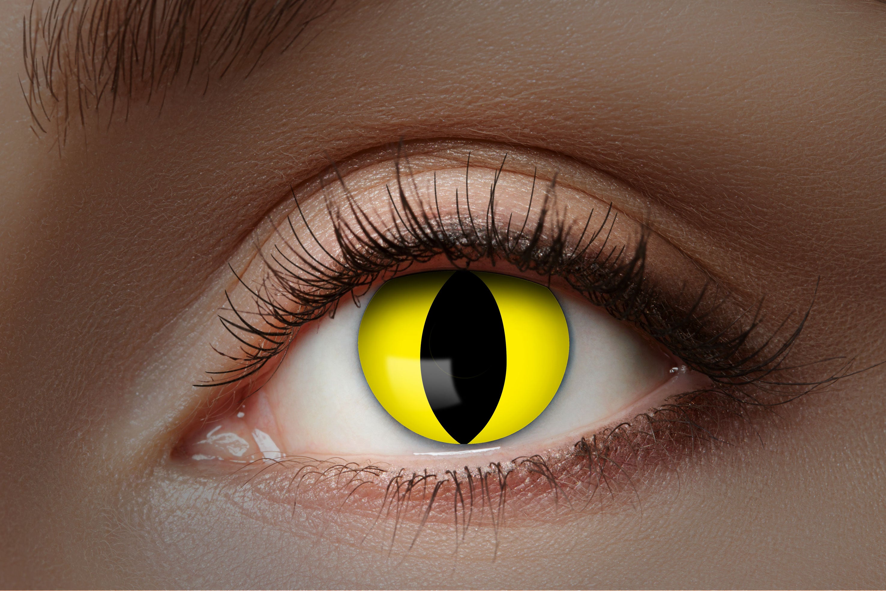 Zoelibat Eyecatcher 12 Monats-Kontaktlinsen UV Flash Yellow Cat 2