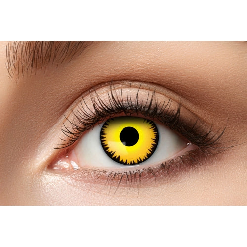 Zoelibat Eyecatcher 3 Month Contact Lenses Yellow Lion 2