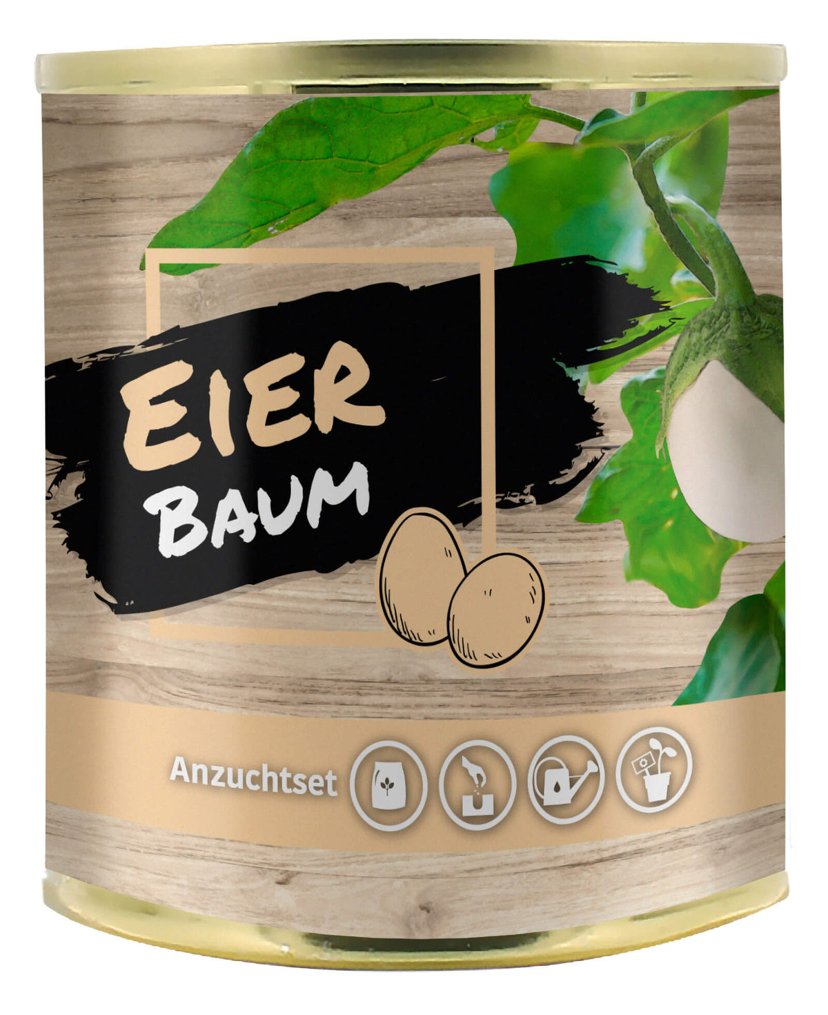 Anzuchtset Eierbaum 12er Display 2