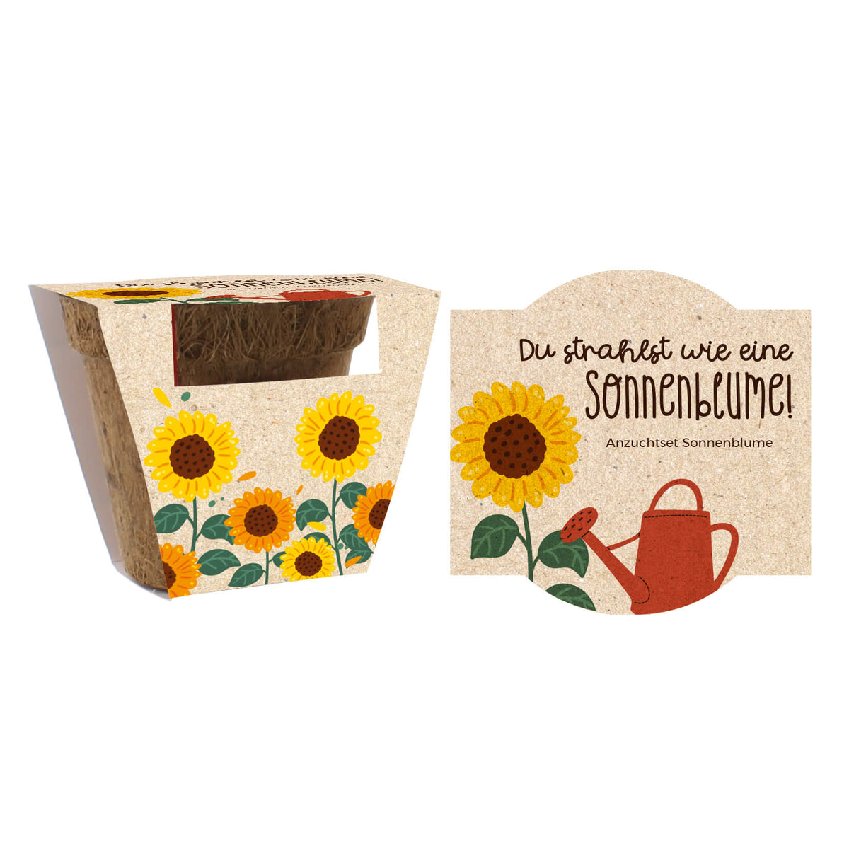 Blumengrüße Sonnenblume 2