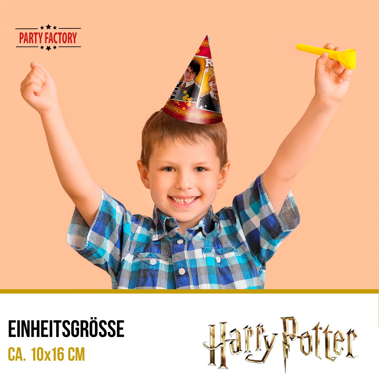 Harry Potter Partyhüte 10 Stück 3
