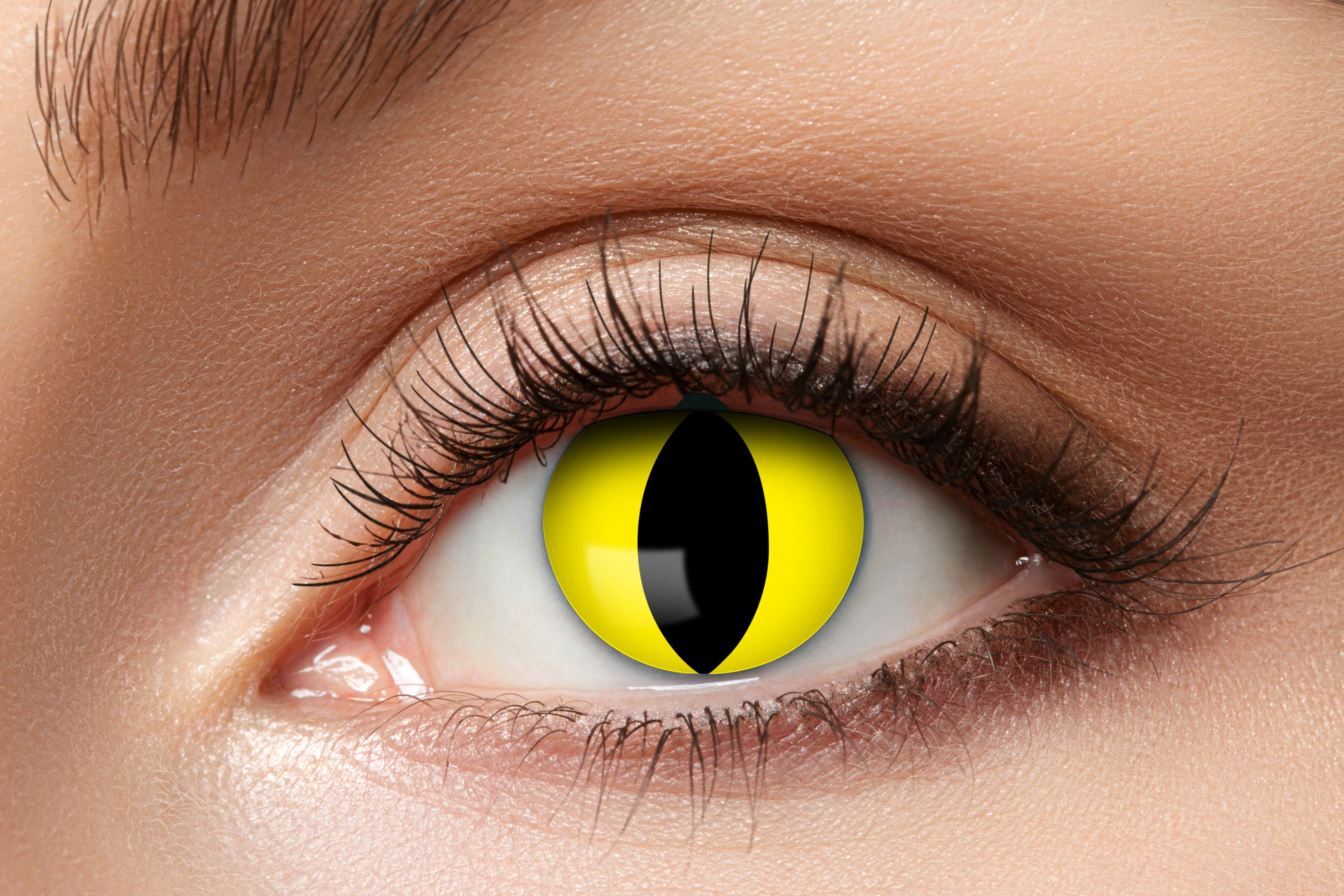 Zoelibat Eyecatcher 12 Monats-Kontaktlinsen Yellow Cat 2