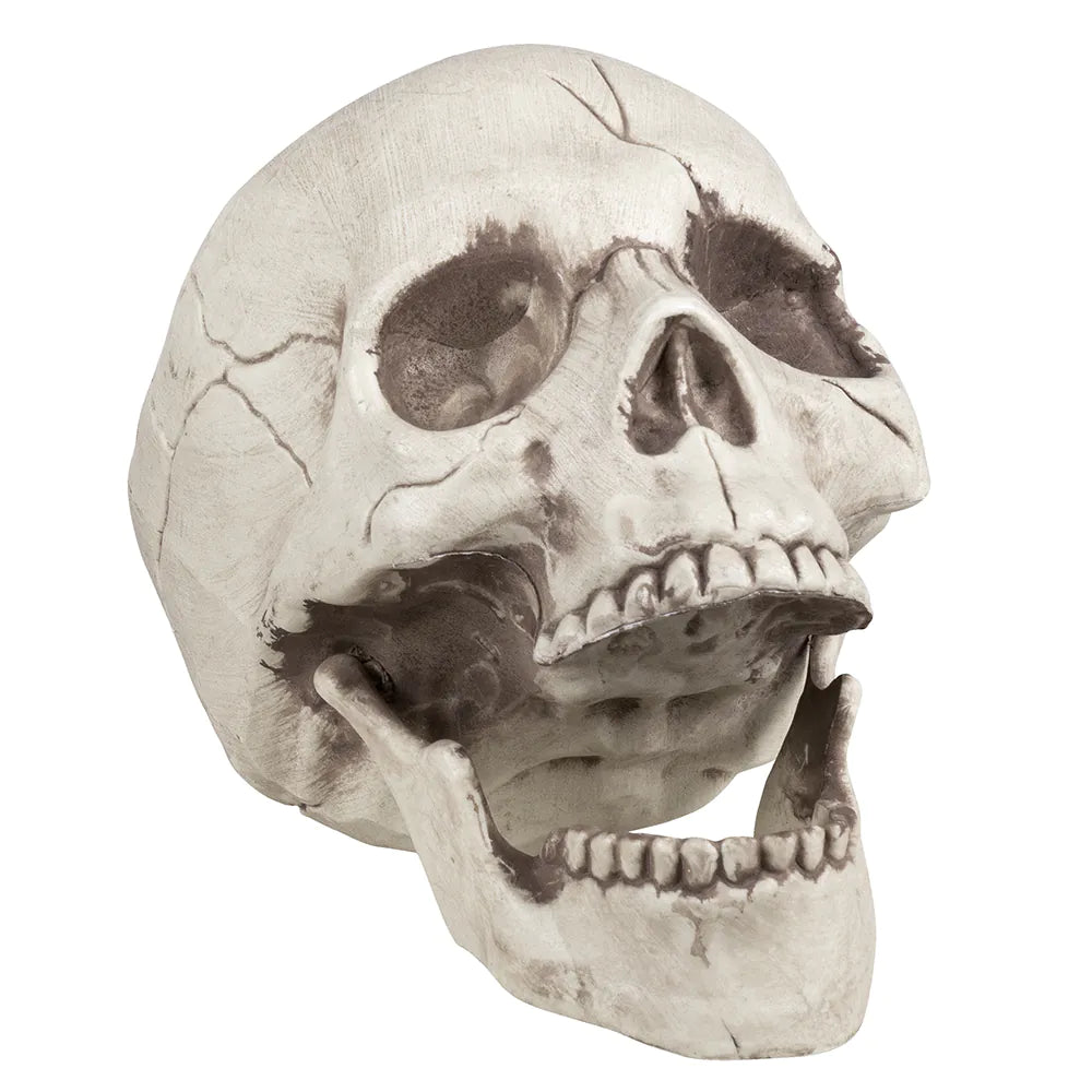 Jawbone Skull – Decorative skull with movable jaw 16x14x21 cm 2