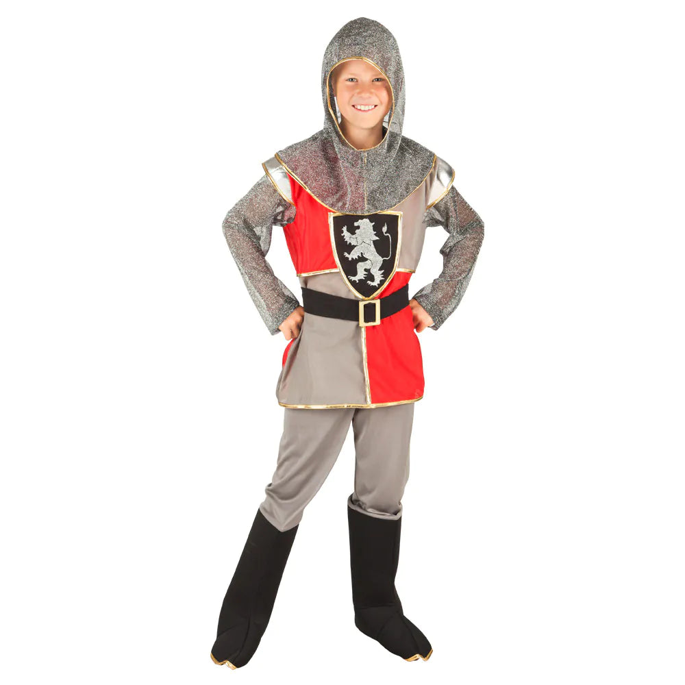 Children's costume Sir Templeton knight costume for boys, various sizes available 3
