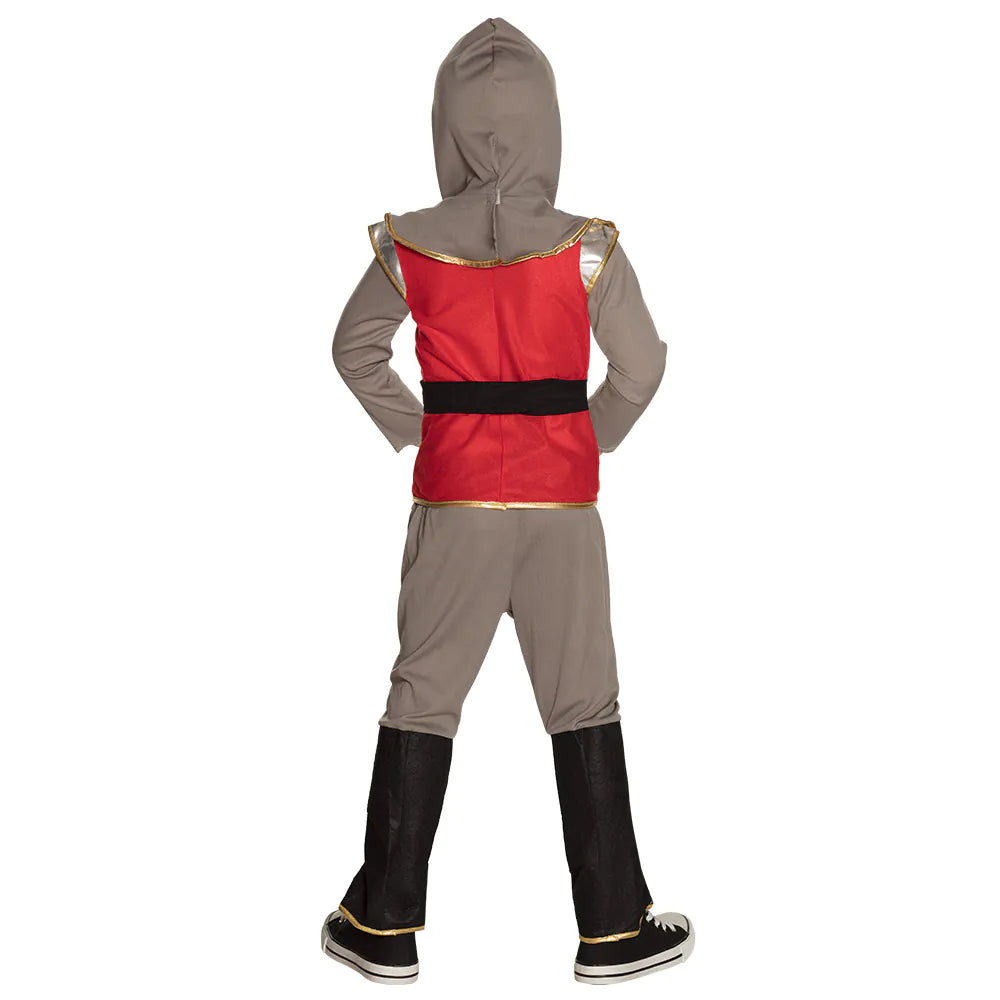 Children's costume Sir Templeton knight costume for boys, various sizes available 2