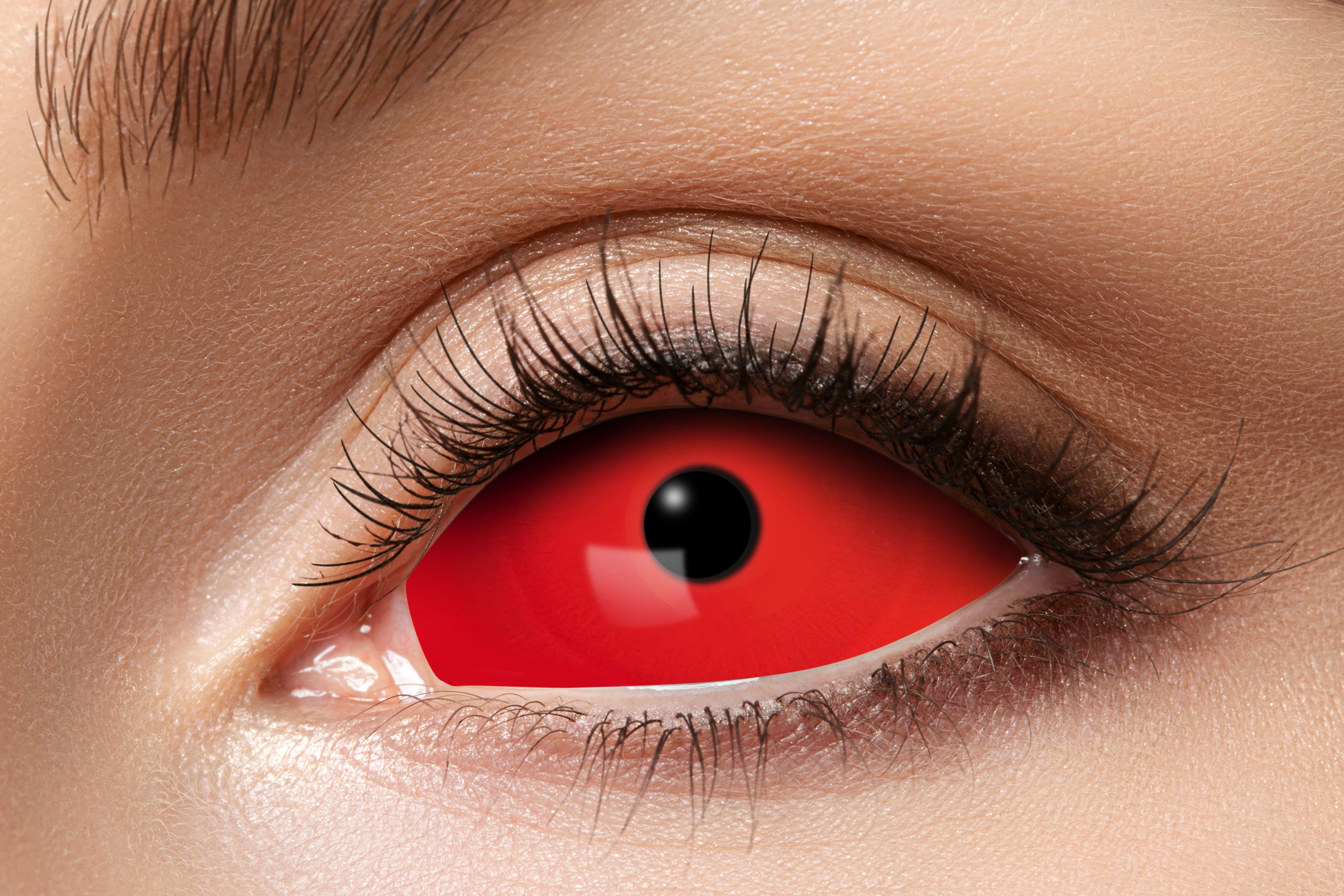 Zoelibat Eyecatcher 6 Monats-Kontaktlinsen Sclera Red Eye