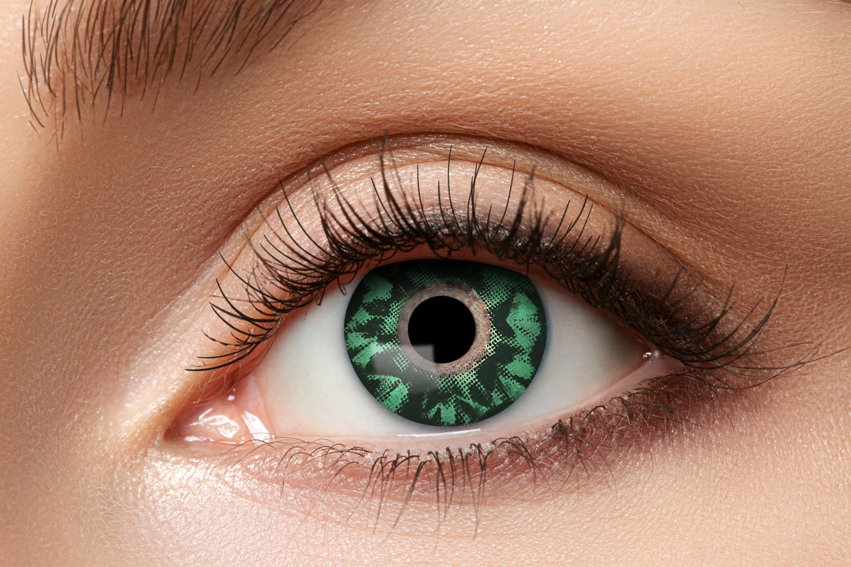 Zoelibat Eyecatcher Natürliche 12 Monats-Kontaktlinsen Tone 29 2