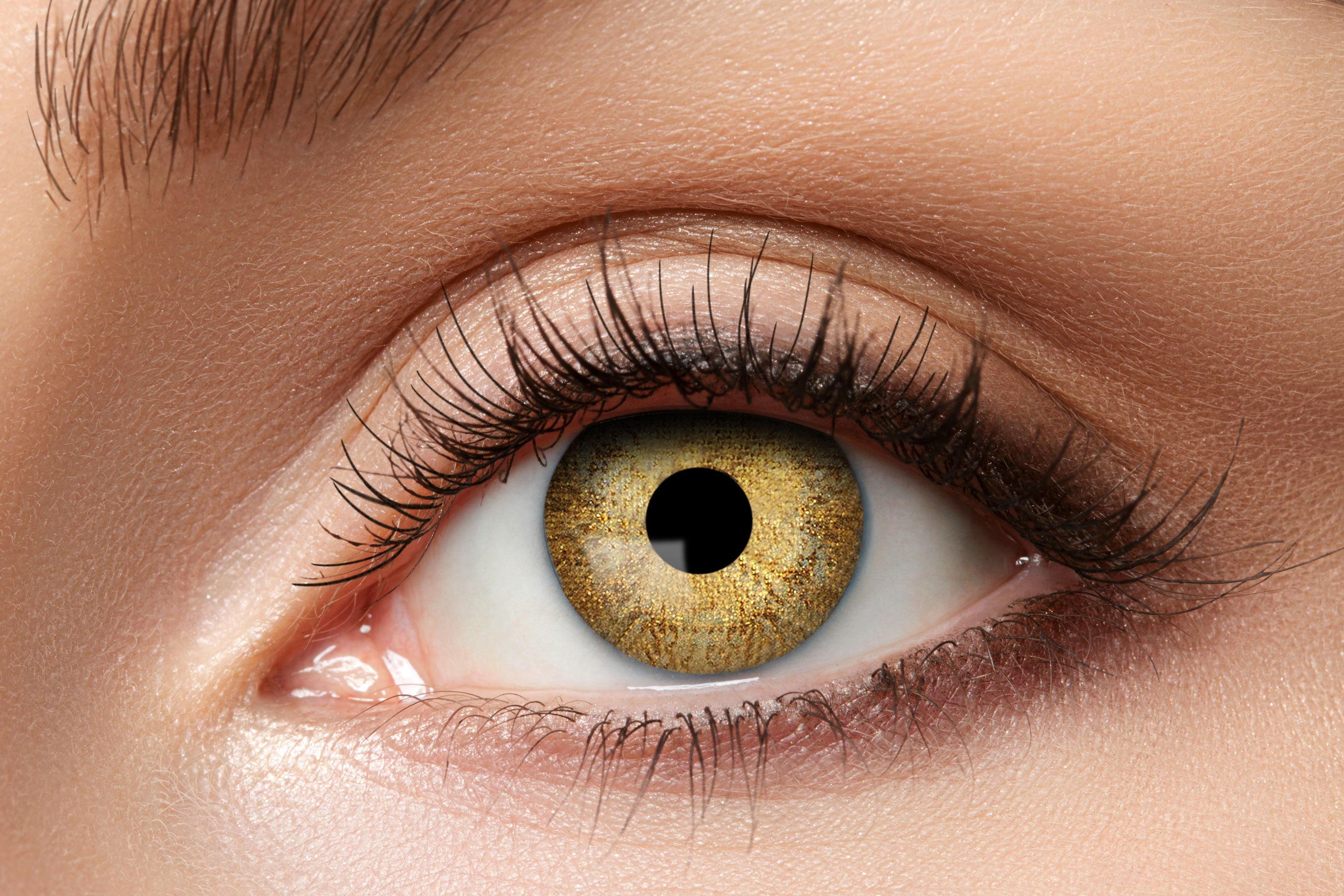 Zoelibat Eyecatcher 12 Monats-Kontaktlinsen Gold Sparkle 7
