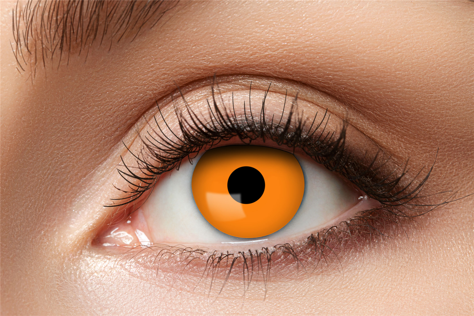 Zoelibat Eyecatcher Wochen-Kontaktlinsen Halloween Orange 8