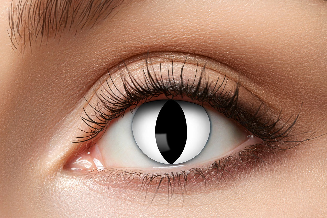 Zoelibat Eyecatcher 3 Monats-Kontaktlinsen White Cat 2